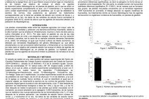 CONTROL BIOLÓGICO DE Meloidogyne sp. EN EL CULTIVO DE GLADIOLO (Gladiolus gradiflorus Hort)._page-0001
