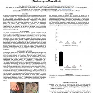CONTROL BIOLÓGICO DE Meloidogyne sp. EN EL CULTIVO DE GLADIOLO  (Gladiolus gradiflorus Hort).