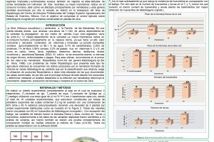 CONTROL DE Meloidogyne incognita CON EXTRACTOS NATURALES EN EL CULTIVO DE LA OKRA (Hibiscus esculentus L.)_page-0001